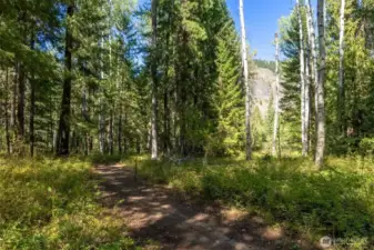 A beautiful walking path leads through mature aspen and pine to the community’s private riverfront and swimming beach.