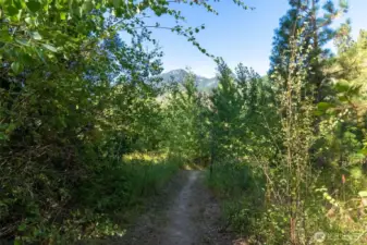 Explore the beauty of the Deer Run community in the heart of Mazama.