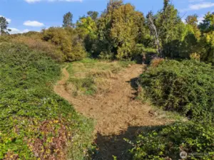 Cleared areas