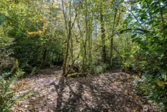trails throughout the property