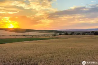 Spectacular sunsets from this magnificent 1.92 Acre building lot