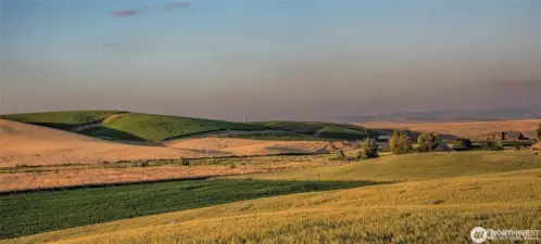 Can you believe it?  Just 10 minutes from downtown Walla Walla.