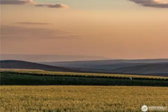 You'll be able to enjoy this view everyday.