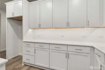 Disclaimer Secondary photos of same floor plan on a different lot in the community: Photos are from another Biscayne, finishes, upgrades, and features may vary.