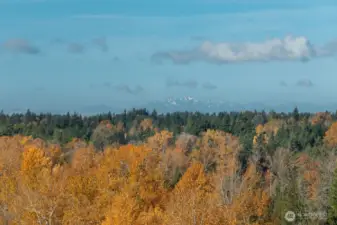 View from the community