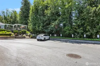 Ample visitor parking