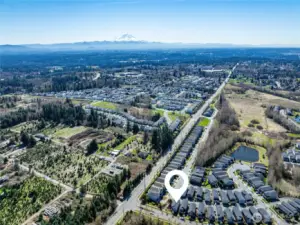 Home in relation to Mt Rainier