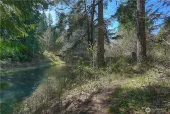 Private wooded trail leading to the river, where peaceful water views and towering evergreens create a true Pacific Northwest escape, perfect for quiet walks, exploring, or simply unwinding in nature.