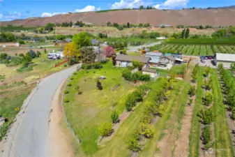 Gorgeous acre of land surrounded by orchards