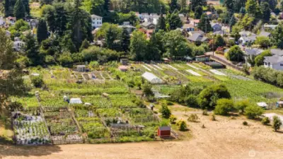 Aerial Photo of Marra-Desimone Park and Garden Nextdoor