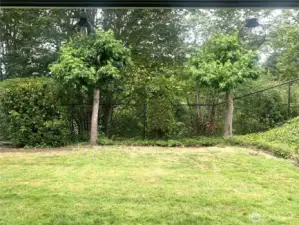 Grass area directly off of the private patio.