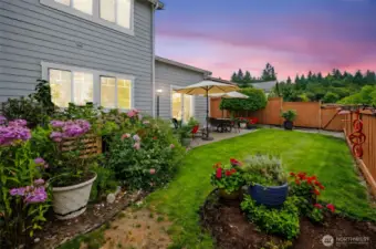 The lush greenery of the backyard at twilight.