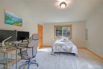 Main floor guest bedroom #1~