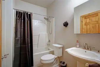 Downstairs full guest bath~