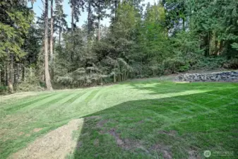 Oversized Yard surrounded by your Serene Greenbelt~