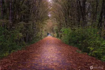 SNOQUALMIE TRAIL DAZZLES WITH FALL COLOUR - YOU CAN WALK,BIKE + EXPLORE FOR MILES ALONG THE TRAILS + RIVERS!!!