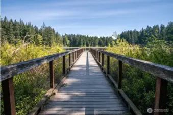 There are a total of 3 ponds in Klahanie, offering some relaxing strolls and opportunity to feed the ducks.