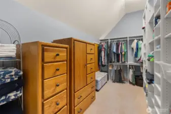 Large walk-in closet.