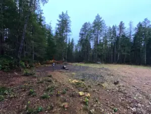 Welcome to your private retreat on 2.5 acres! This partially cleared property features three RV hookups with power and plenty of space for additional setups, making it the perfect spot to relax and unwind.    First RV site is on the left and the second RV Site is straight ahead to the right of the picnic table.