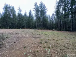 Another view of your large, cleared area showing the first and second RV sites.