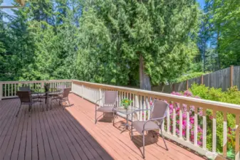 Off the kitchen and living room is this large deck, overlooking the beautiful backyard.  No new home has gorgeous trees and mature landscaping like this home!