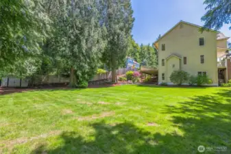 Now that's a real yard!