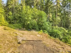 Property feels private and secluded.