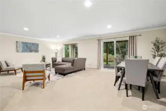 Huge Rec room