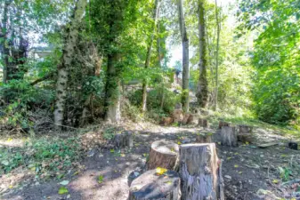Wooded Greenbelt lot flat area for new owner to transform or garden in.