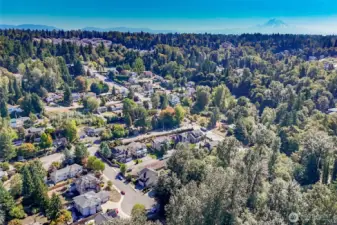 View of the area from this wonderful beighborhood.