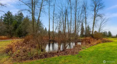 Spring fed pond along driveway