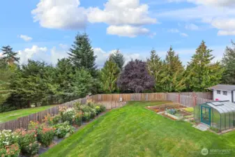 Greenhouse locate in back yard