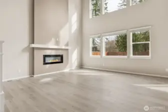 electric fireplace and HUGE WINDOWS