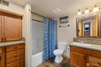 Lower level guest bathroom.