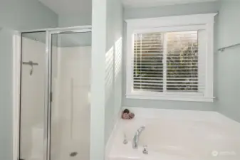 Separate shower and soaking tub in the primary bath.