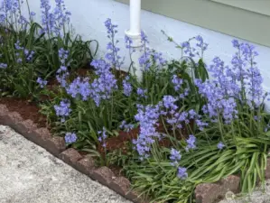 Entry Flowers