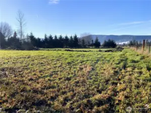 On property looking south along the fence line