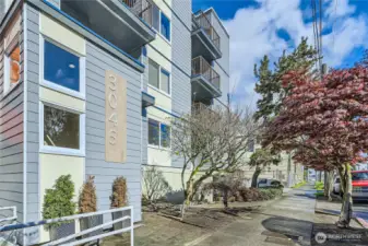 Enjoy the neighborhood amenities. Great location near Interbay Golf, stores, pubs, restaurants, gas stations,.. few minutes to Ballard and Expedia