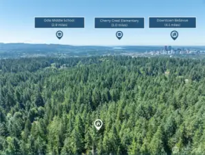 Ideally located near top-rated Bellevue schools, with Cherry Crest Elementary and Odle Middle School just a short drive away. Downtown Bellevue’s upscale shopping, dining, and cultural scene is also close at hand.