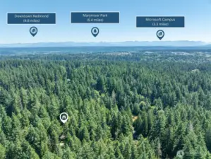 Nestled in nature yet close to it all—this peaceful retreat offers convenient access to Downtown Redmond’s shopping and dining, the trails and events at Marymoor Park, and the world-class Microsoft Campus.
