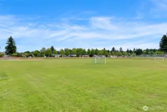 Expansive neighborhood field perfect for picnics, casual games, or soaking up the sun.