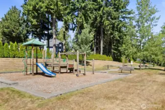 Neighborhood park, a short walk away.