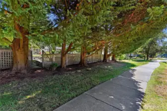 Wonderful sidewalks surround Chatham Cove