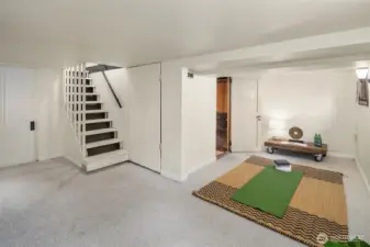 Basement flex space