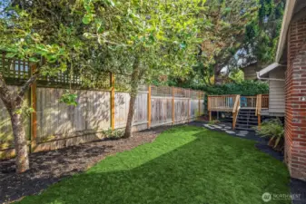 Beautiful backyard!