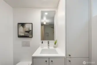 Lower level bathroom