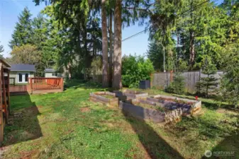 Raised Bed Garden - Fruit trees - Peach, Pear, Apple