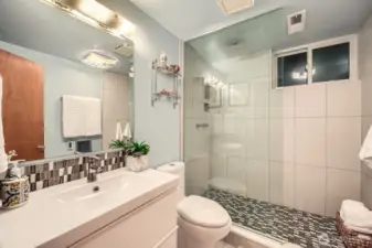 Lower 3rd level bathroom w/ walk-in shower