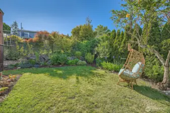 Space for frolicking in the low-maintenance, verdant garden