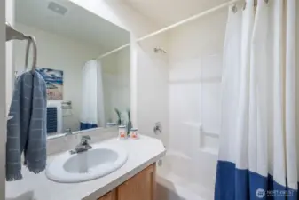 The lower level full bathroom.